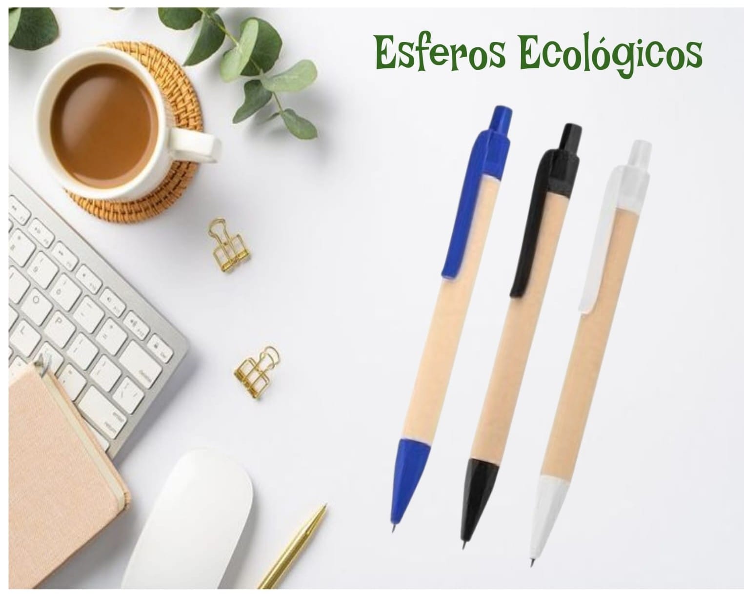 Kit Docena Esferos Ecológicos